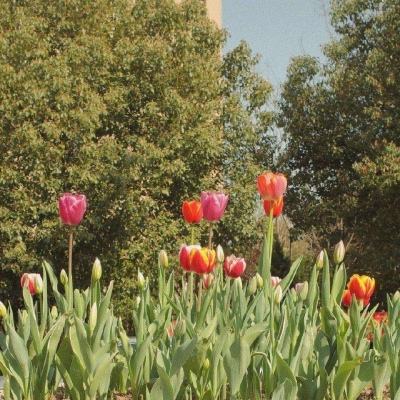 真人百家家乐网站