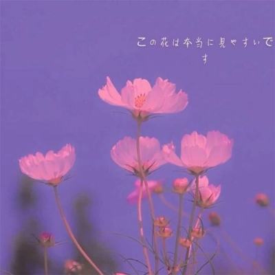 牛牛游戏网手机app下载